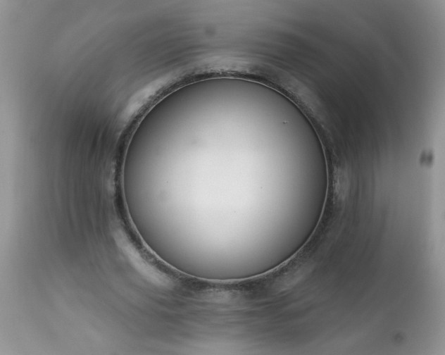 X0000112840629200908211242