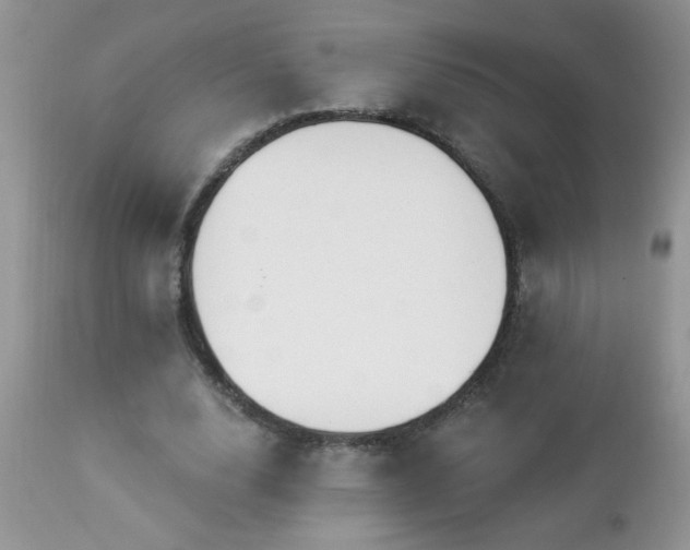 X0000112840632200908211242