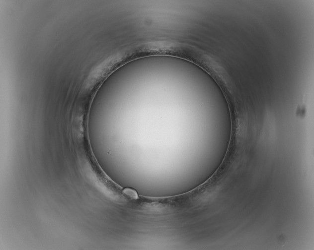 X0000112840633200908211242