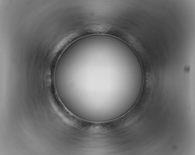 X0000112840634200908211242