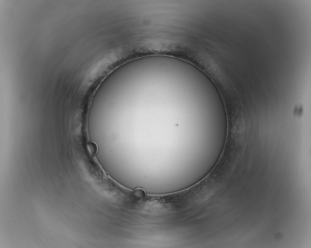 X0000112840635200908211242