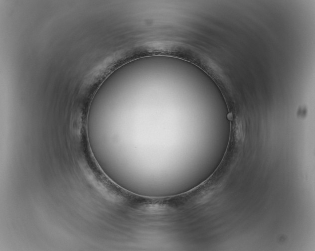 X0000112840637200908211242