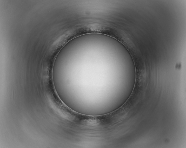 X0000112840639200908211242