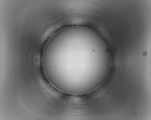 X0000112840640200908211242