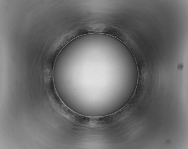 X0000112840641200908211242