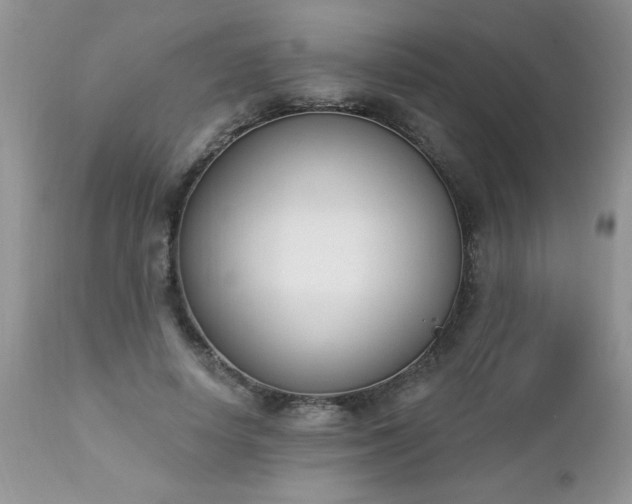 X0000112840642200908211242