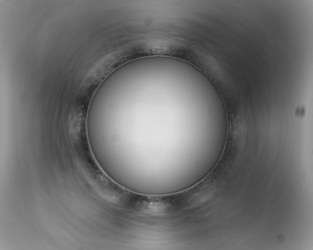 X0000112840645200908211242