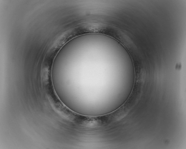 X0000112840646200908211242