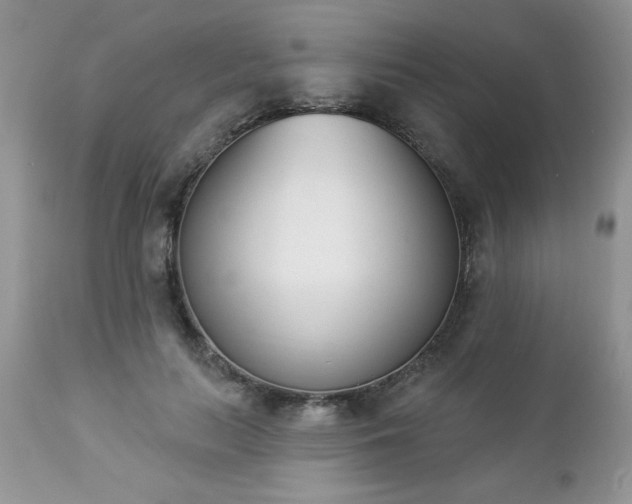 X0000112840647200908211242