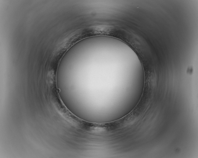 X0000112840649200908211242