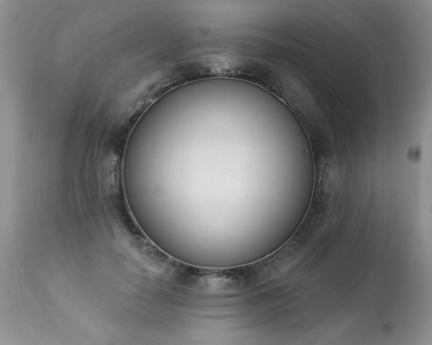 X0000112840650200908211242