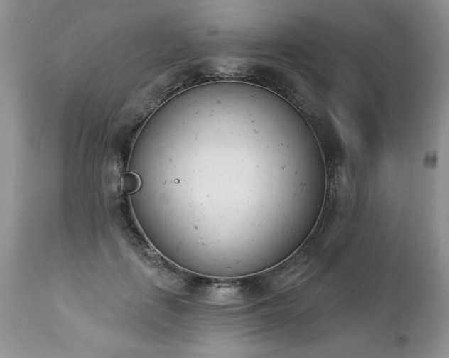 X0000112840651200908211242