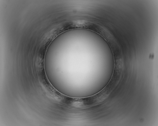 X0000112840653200908211242