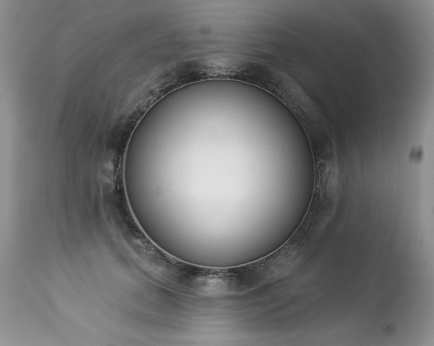 X0000112840655200908211242