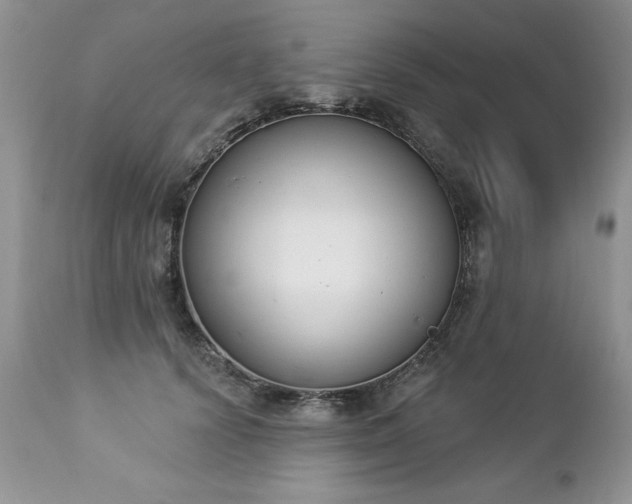 X0000112840656200908211242