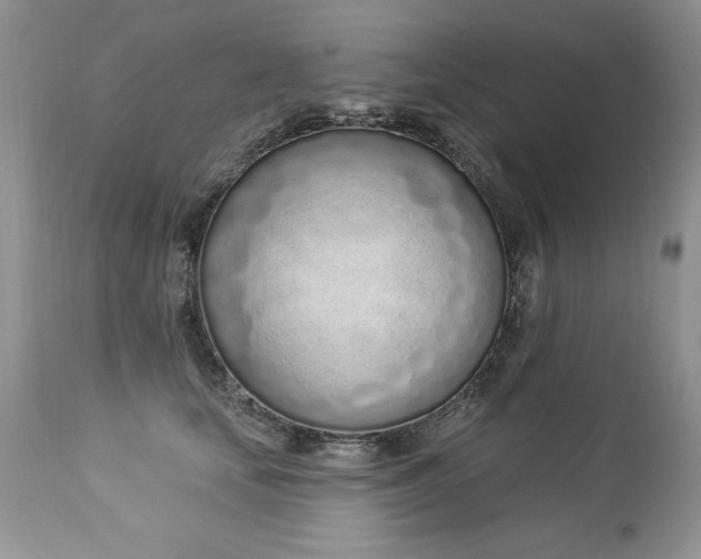 X0000112840659200908211242