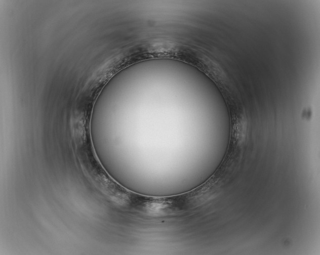 X0000112840662200908211242