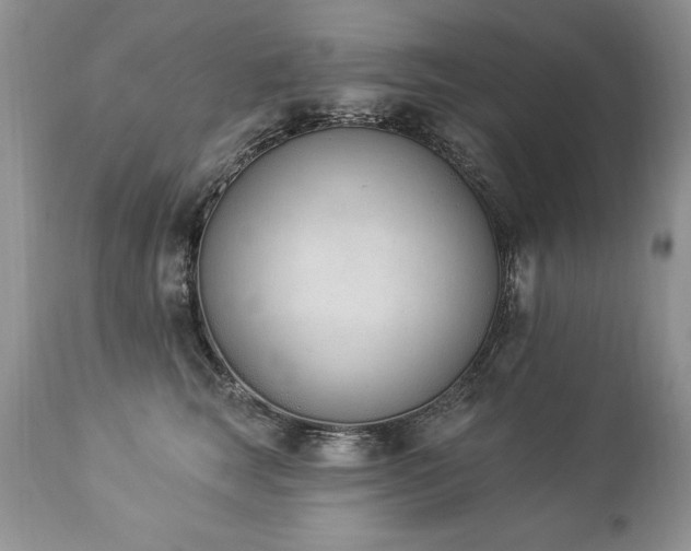 X0000112840663200908211242