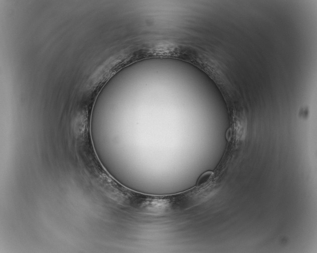 X0000112840665200908211242