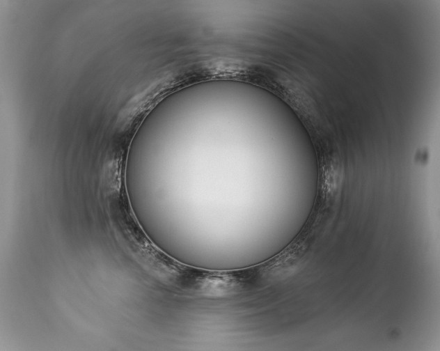 X0000112840666200908211242