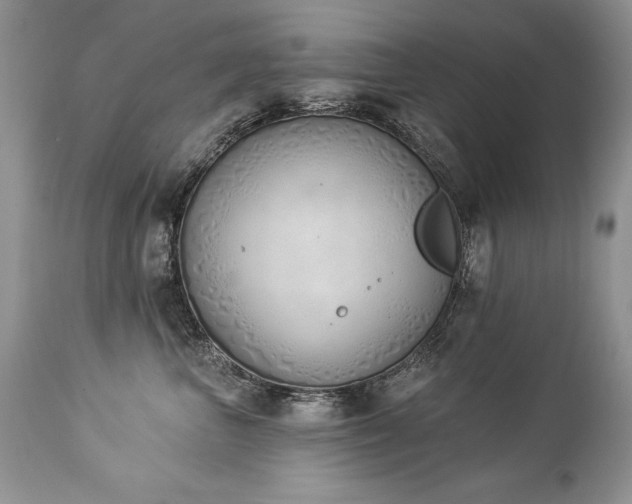 X0000112840667200908211242