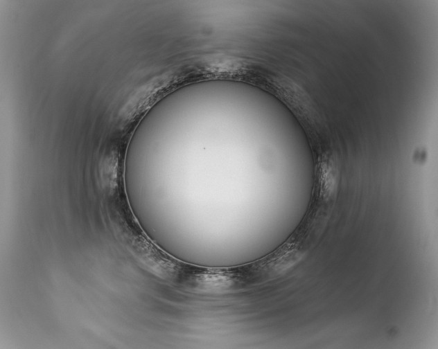 X0000112840668200908211242