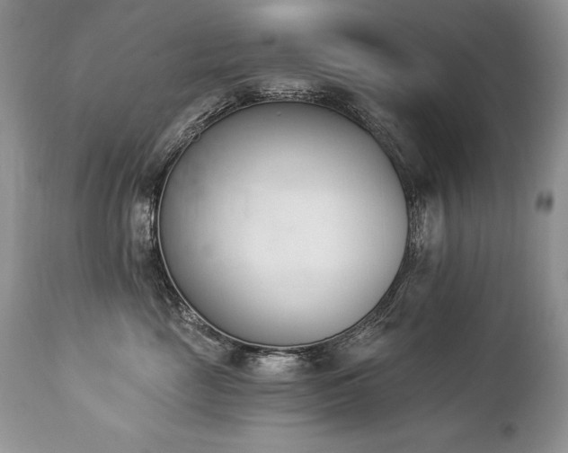 X0000112840669200908211242