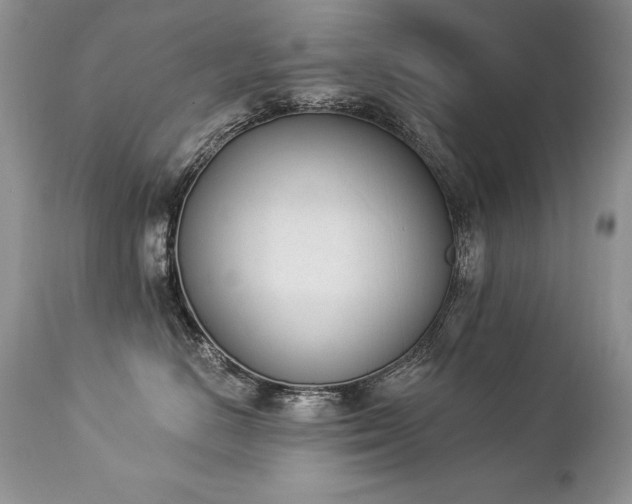 X0000112840670200908211242