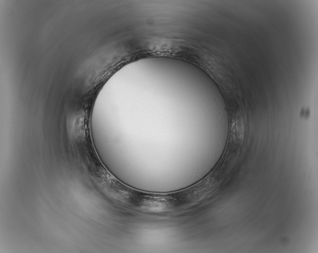 X0000112840671200908211242