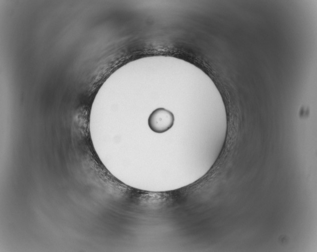 X0000112840672200908211242