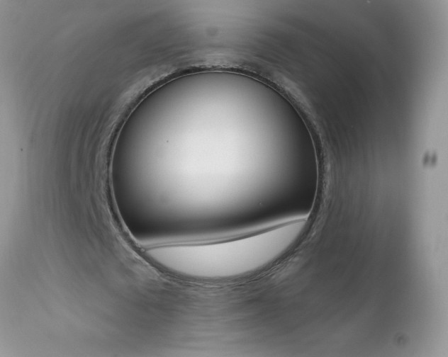 X0000112840673200908211242