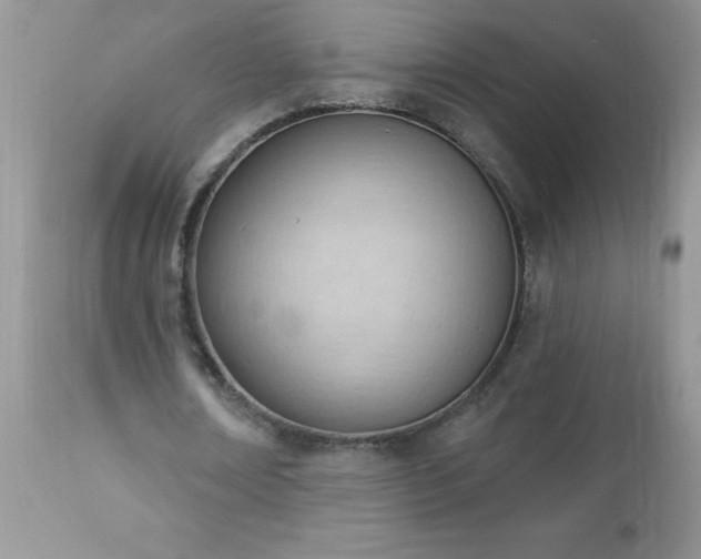 X0000112840674200908211242