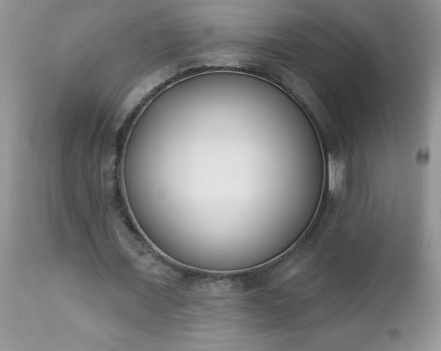 X0000112840675200908211242