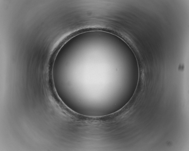 X0000112840676200908211242