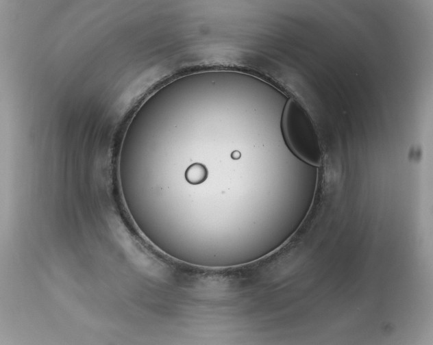 X0000112840677200908211242