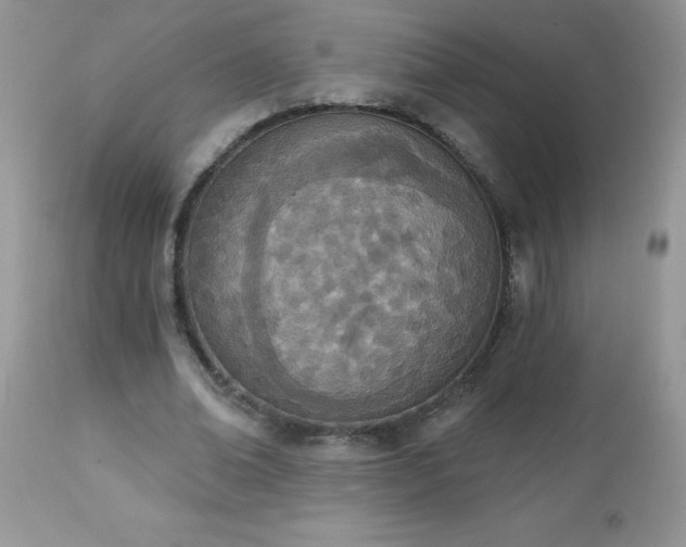 X0000112840678200908211242