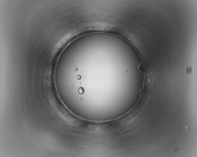 X0000112840679200908211242