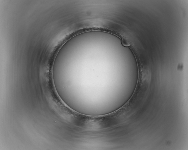 X0000112840680200908211242