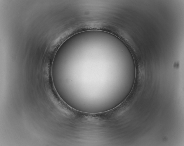 X0000112840681200908211242