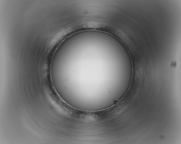 X0000112840683200908211242