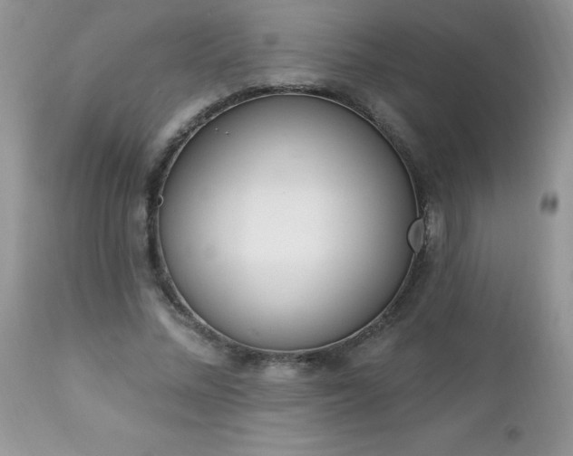 X0000112840684200908211242