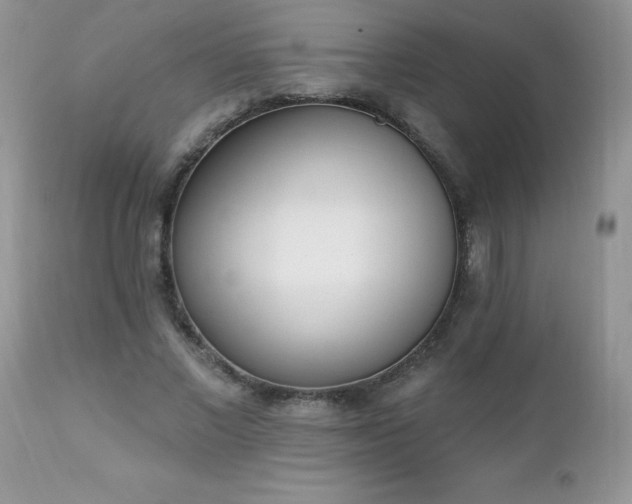 X0000112840685200908211242