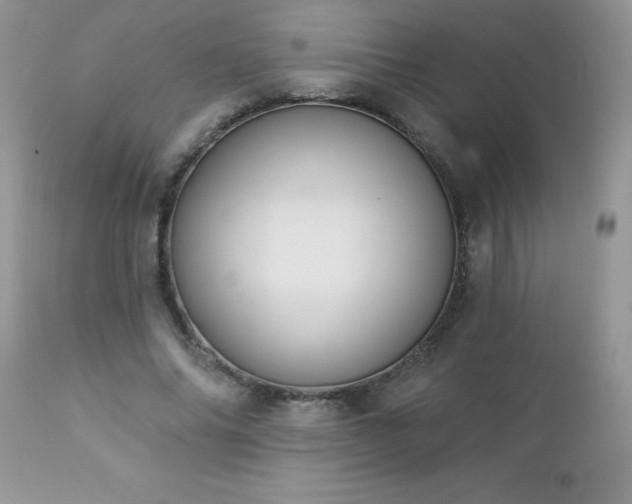 X0000112840686200908211242