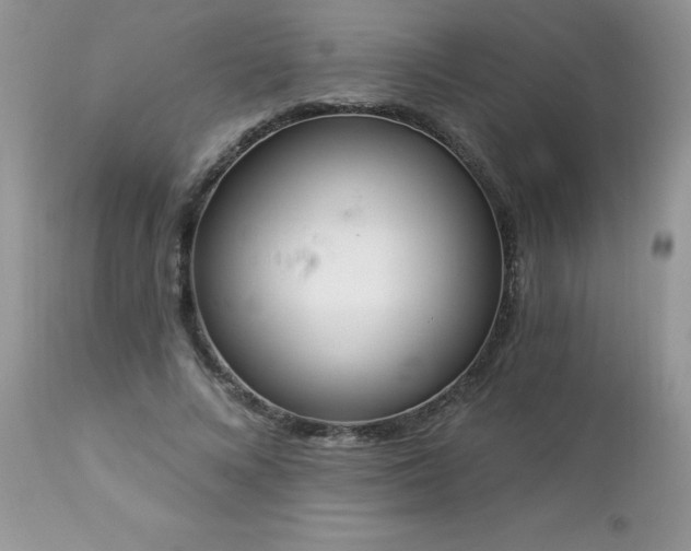 X0000112840688200908211242