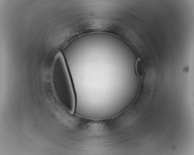 X0000112840689200908211242