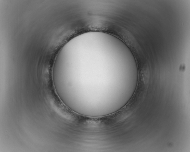 X0000112840690200908211242