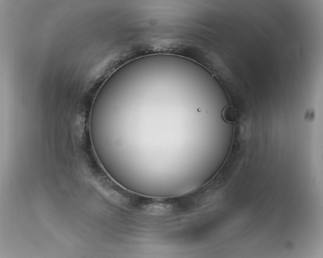 X0000112840691200908211241