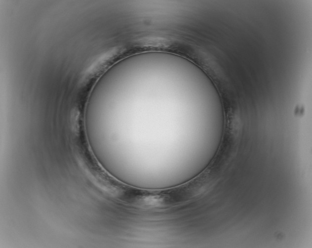 X0000112840692200908211241