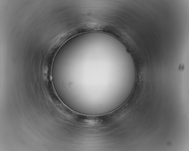 X0000112840693200908211241