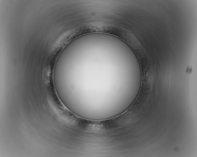 X0000112840694200908211241